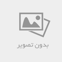 سایت سئو سایت